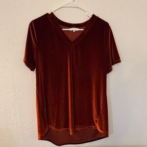 Velvet V-Neck Short Sleeve Top - Rust